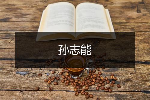 孙志能