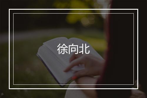 徐向北