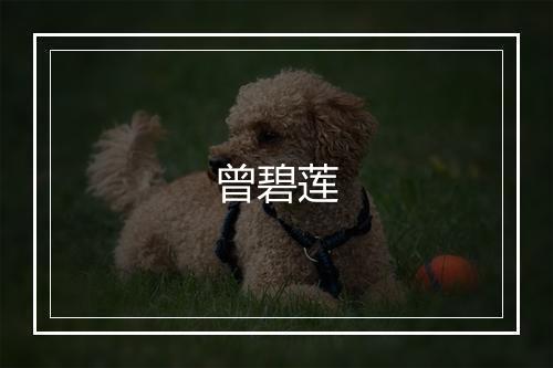 曾碧莲
