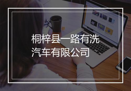 桐梓县一路有洗汽车有限公司