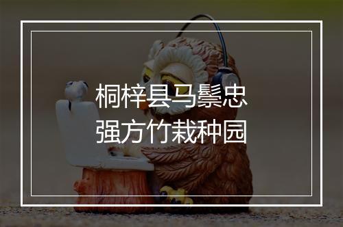 桐梓县马鬃忠强方竹栽种园