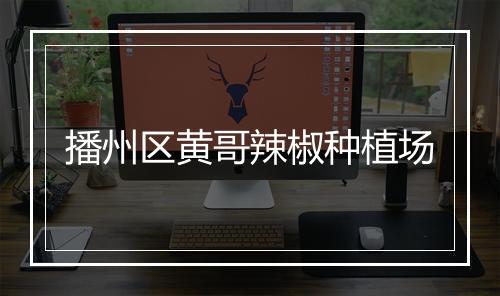 播州区黄哥辣椒种植场