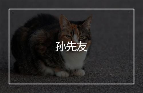 孙先友
