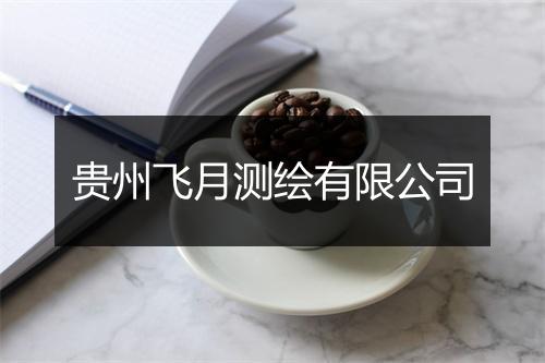 贵州飞月测绘有限公司