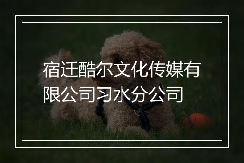 宿迁酷尔文化传媒有限公司习水分公司