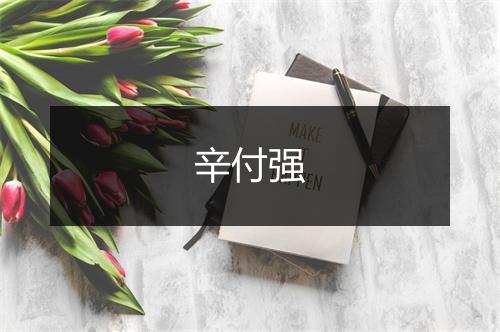 辛付强