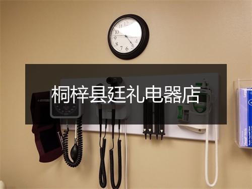 桐梓县廷礼电器店