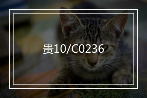 贵10/C0236