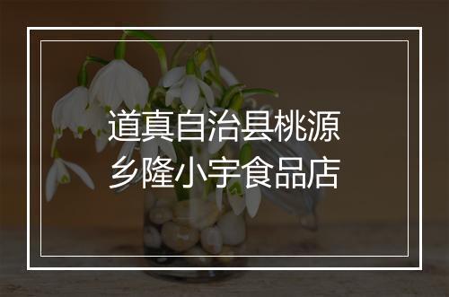 道真自治县桃源乡隆小宇食品店