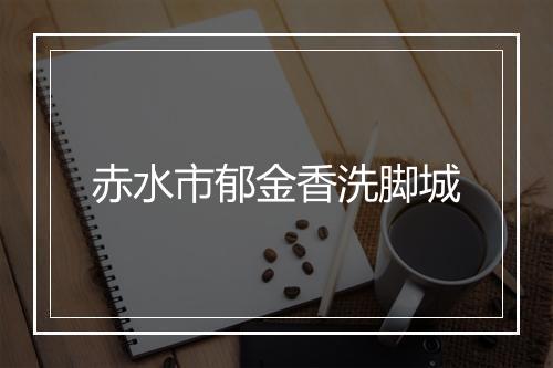 赤水市郁金香洗脚城