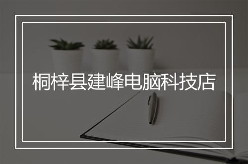 桐梓县建峰电脑科技店