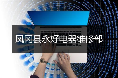 凤冈县永好电器维修部