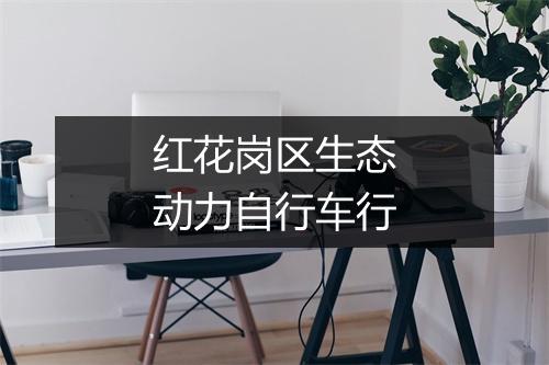 红花岗区生态动力自行车行