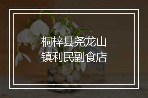 桐梓县尧龙山镇利民副食店