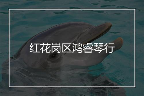红花岗区鸿睿琴行