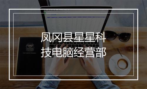 凤冈县星星科技电脑经营部