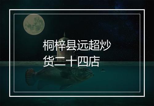 桐梓县远超炒货二十四店