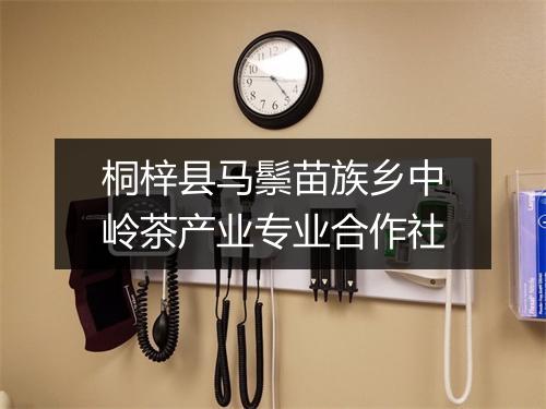 桐梓县马鬃苗族乡中岭茶产业专业合作社