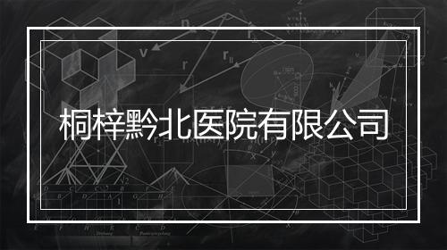 桐梓黔北医院有限公司