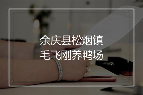 余庆县松烟镇毛飞刚养鸭场