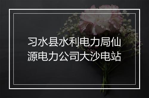 习水县水利电力局仙源电力公司大沙电站