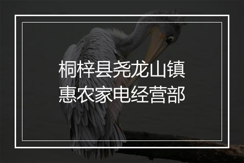 桐梓县尧龙山镇惠农家电经营部