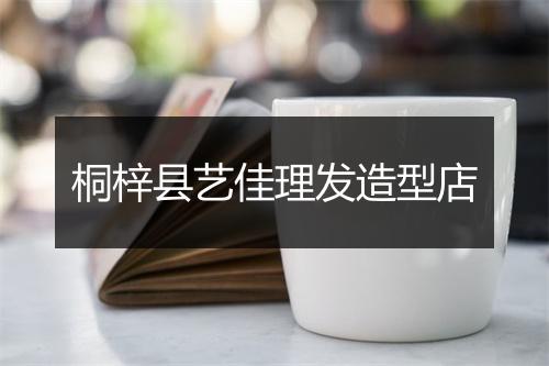 桐梓县艺佳理发造型店