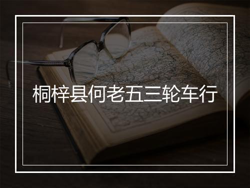 桐梓县何老五三轮车行