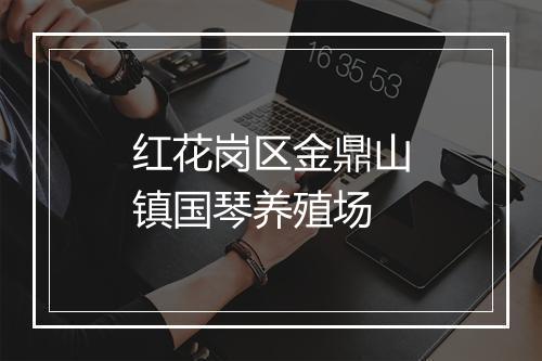 红花岗区金鼎山镇国琴养殖场