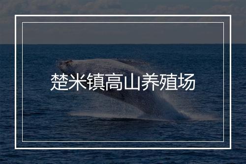 楚米镇高山养殖场
