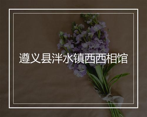 遵义县泮水镇西西相馆