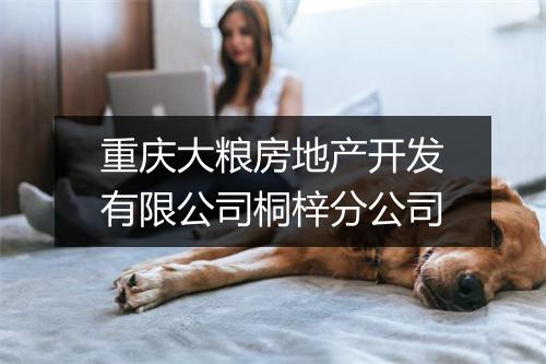 重庆大粮房地产开发有限公司桐梓分公司