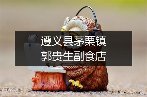 遵义县茅栗镇郭贵生副食店
