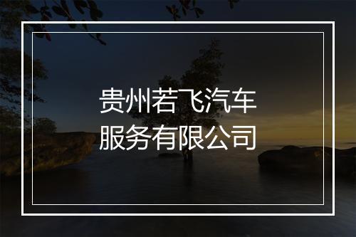 贵州若飞汽车服务有限公司