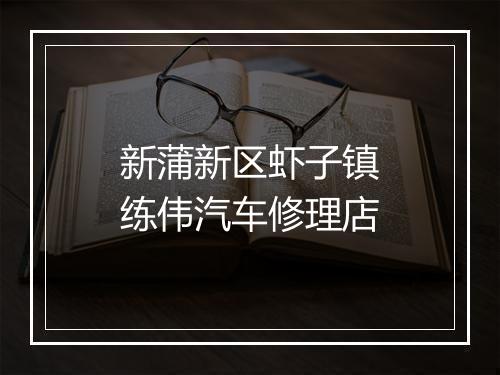 新蒲新区虾子镇练伟汽车修理店