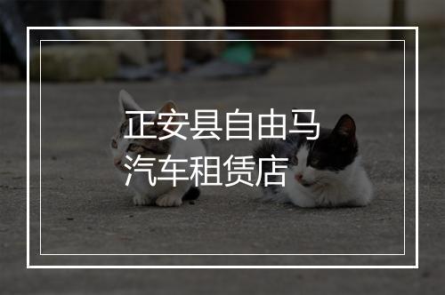 正安县自由马汽车租赁店