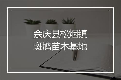 余庆县松烟镇斑鸠苗木基地