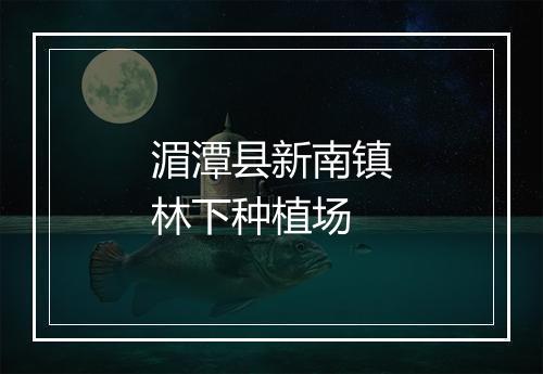 湄潭县新南镇林下种植场