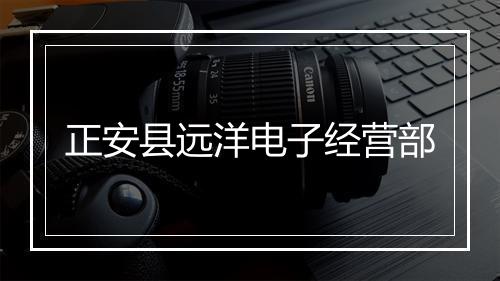 正安县远洋电子经营部