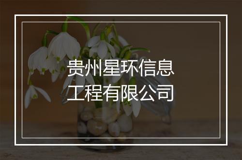 贵州星环信息工程有限公司