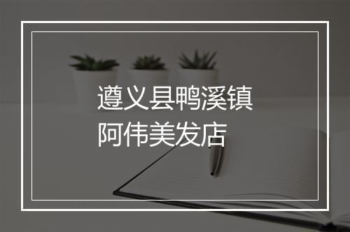 遵义县鸭溪镇阿伟美发店