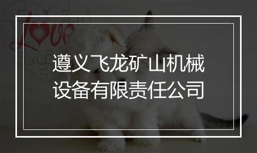 遵义飞龙矿山机械设备有限责任公司