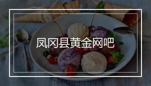 凤冈县黄金网吧