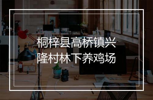 桐梓县高桥镇兴隆村林下养鸡场