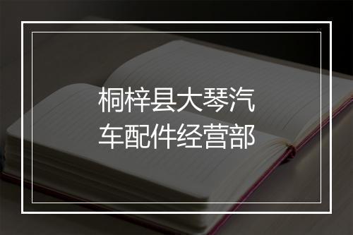 桐梓县大琴汽车配件经营部