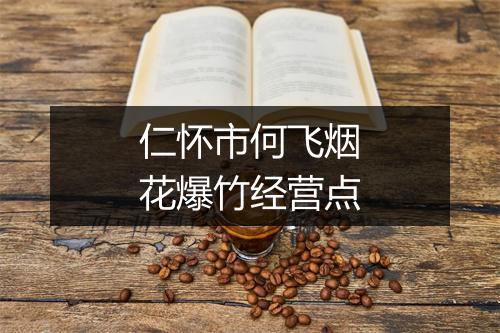 仁怀市何飞烟花爆竹经营点