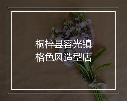 桐梓县容光镇格色风造型店