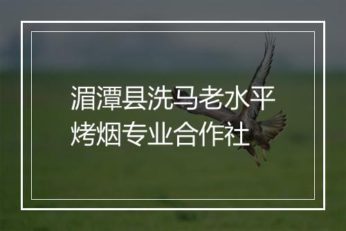 湄潭县洗马老水平烤烟专业合作社