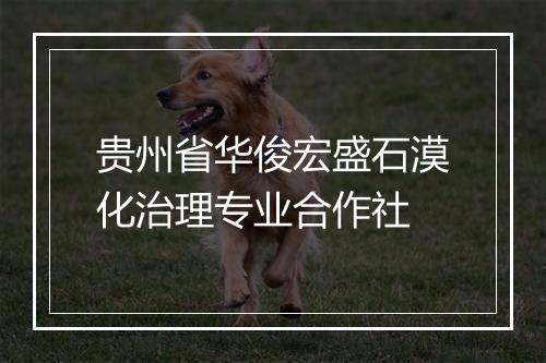 贵州省华俊宏盛石漠化治理专业合作社