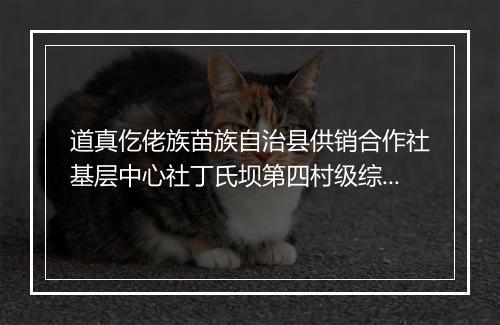 道真仡佬族苗族自治县供销合作社基层中心社丁氏坝第四村级综合服务站